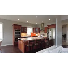 Real Estate Videos
